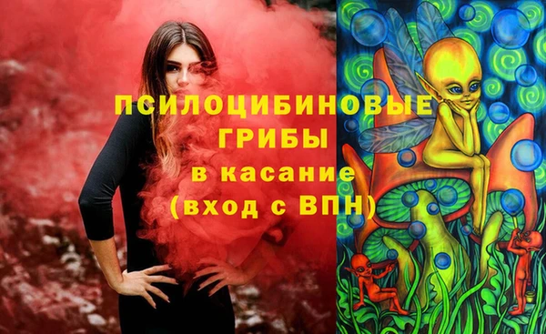 марки lsd Горняк