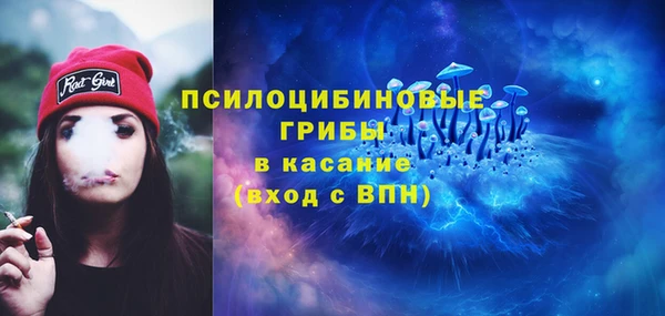 эйфоретик Вяземский